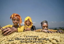 Görseli Galeri görüntüleyiciye yükleyin, Ethiopia Yirgacheffe Kochere
